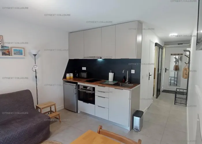 Apartman 2rb40 Tres Joli Climatise Et Parking Vue Collioure