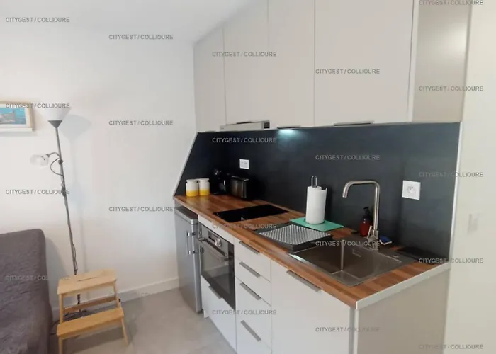 2rb40 Tres Joli Climatise Et Parking Vue Apartman Collioure