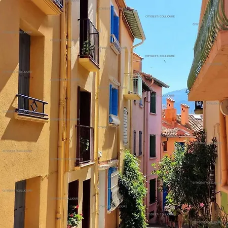 Apartamento 2rb40 Tres Joli Vue Collioure